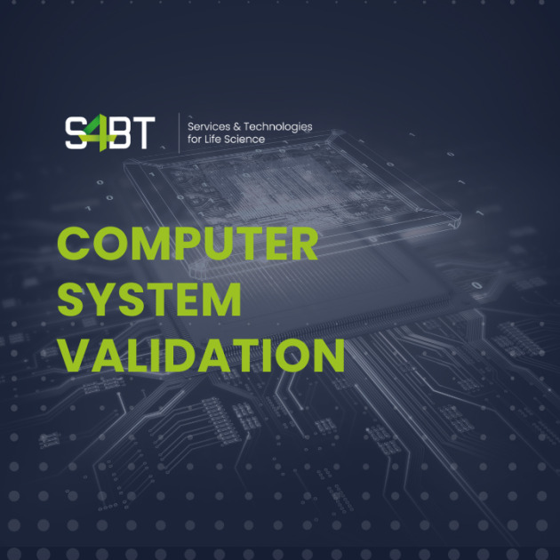 CSV - Consulting Service