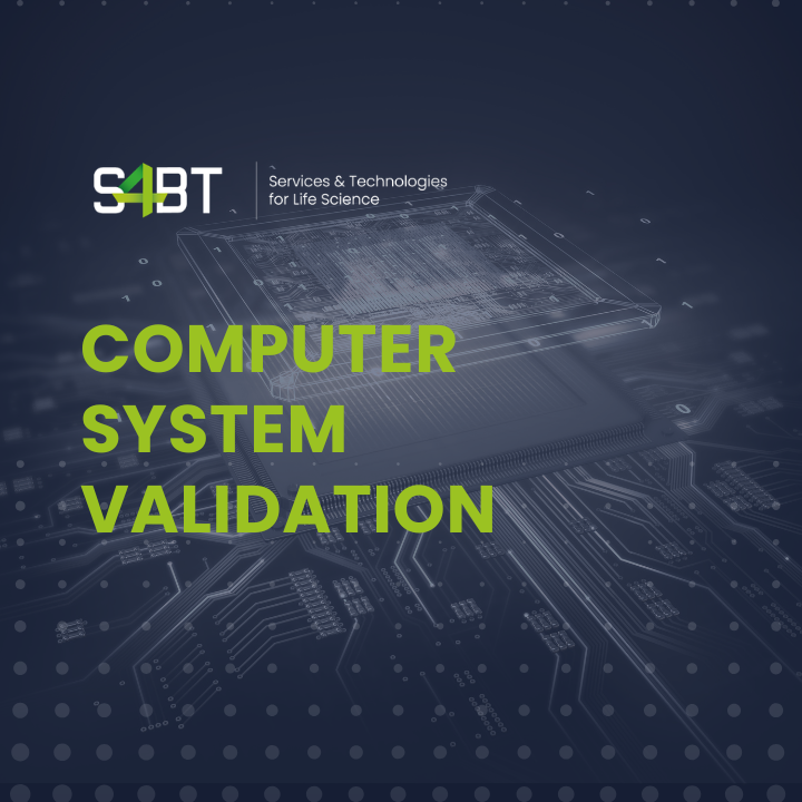 CSV - Consulting Service
