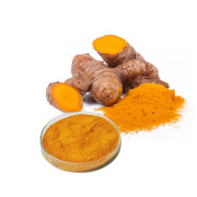 Curcumin