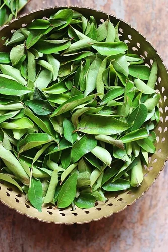 curry leaf extract