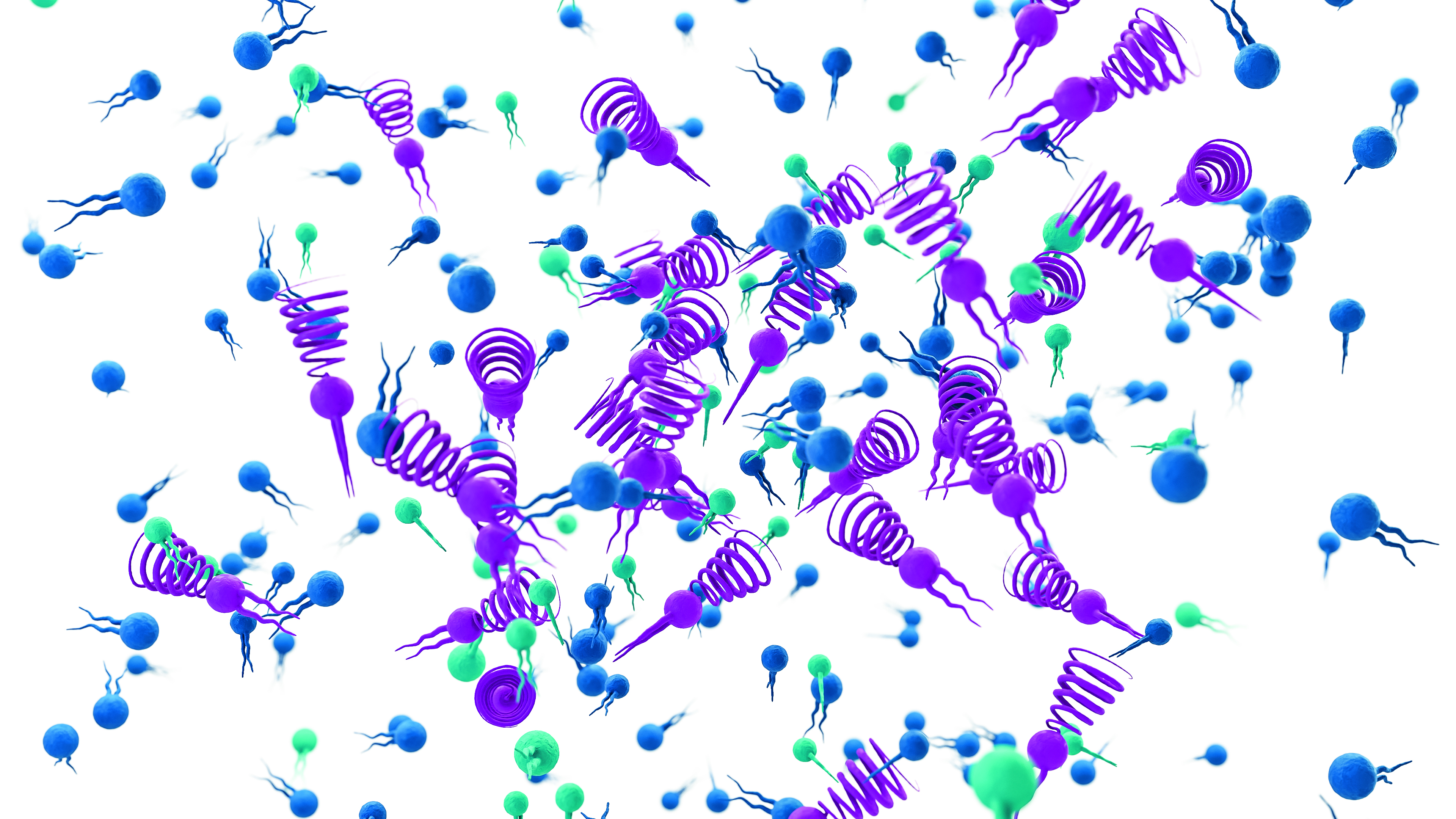 Custom Lipids