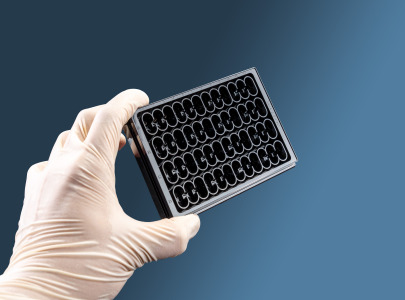 Custom Microplate Services