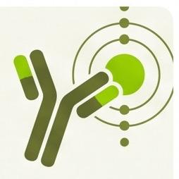 Custom Single Domain Antibody Discovery & Screening