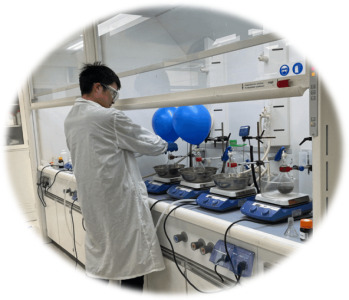 Custom Synthesis