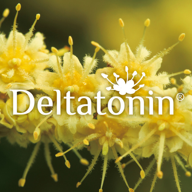 Deltatonin®  Longan Flower Extract