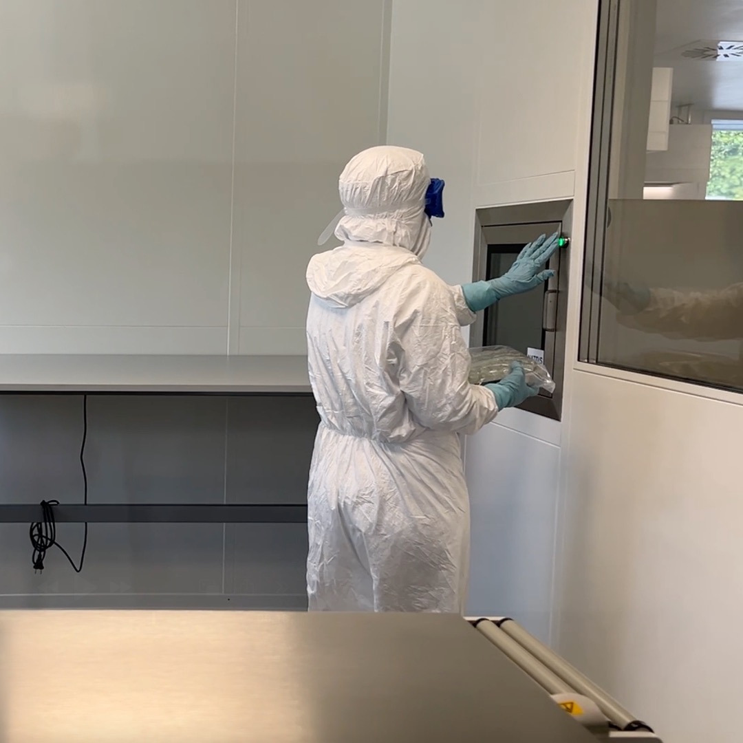 Depyrogenation 2