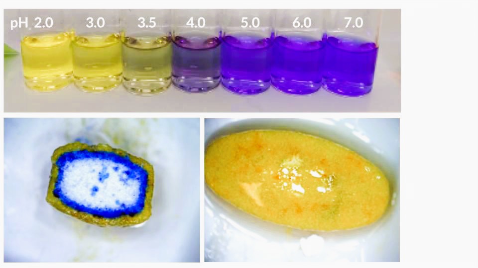 Determination of microenvironmental pH