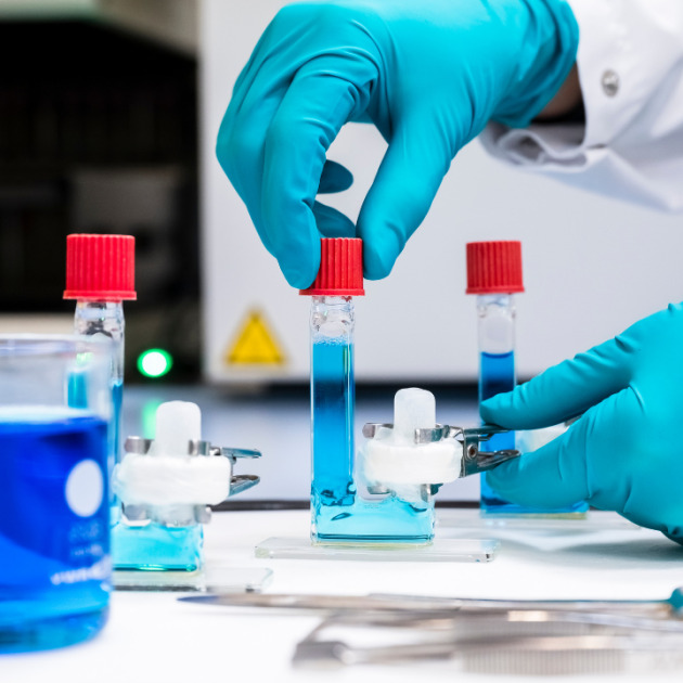Development and formulation services