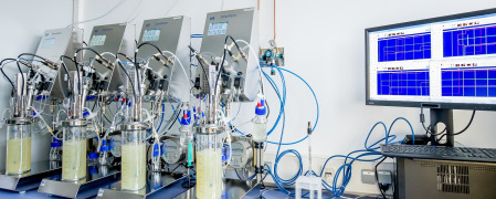 Development of chemo-enzymatic processes