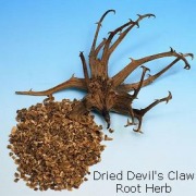 Devil's Claw Root extract Harpagoside