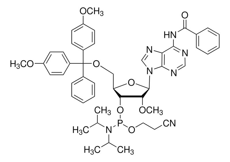 DMT-2'-O-Me-rA(Bz)-CE-Phosphoramidite 110782-31-5