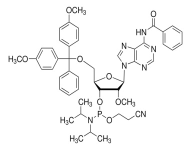 DMT-2'-O-Me-rA(Bz)-CE-Phosphoramidite 110782-31-5