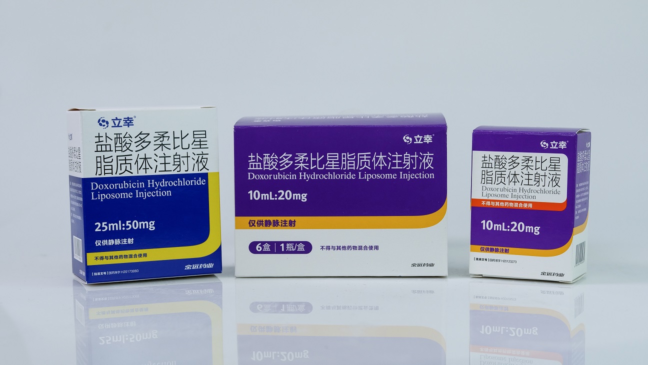 Doxorubicin Hydrochloride Liposome Injection