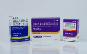 Doxorubicin Hydrochloride Liposome Injection