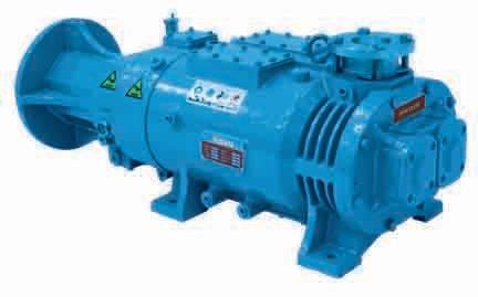 Dry Screw Vacuum Pump