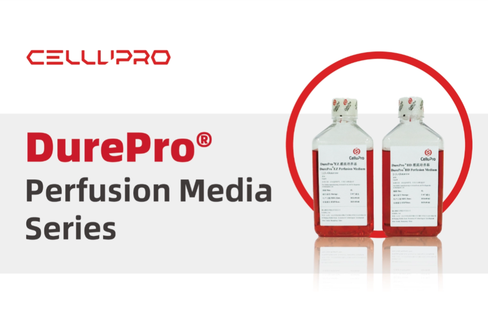 DurePro® Perfusion Media Series SERUM-FREE GMP-grade Cell Culture Solutions