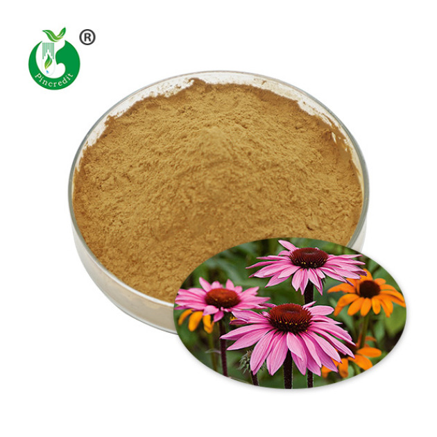 Echinacea Purpurea Extract Polyphenols
