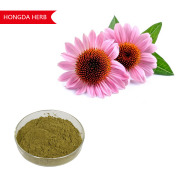 Echinacea Purpurea Extract