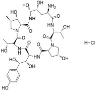 Echinocandin B nucleus