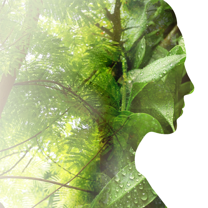 ECO-RESPONSIBLE PHYTOCOMPLEXES
