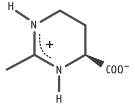 Ectoin | Ectoine | medEctoin Pharma Grade