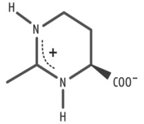 Ectoin | Ectoine | medEctoin Pharma Grade