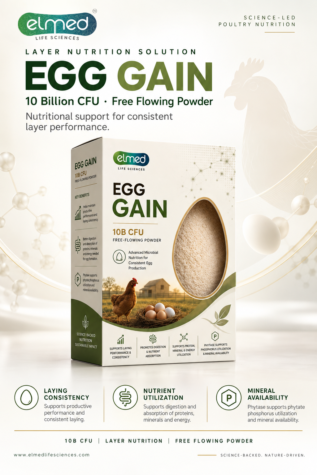 Egg Gain 2