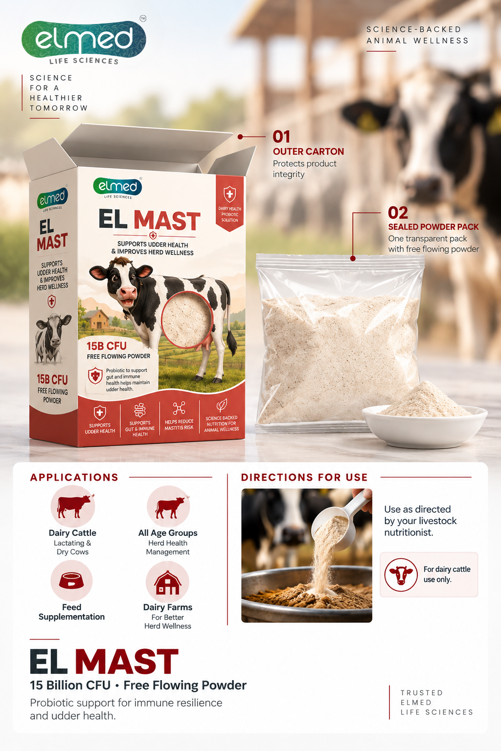 EL MAST 2