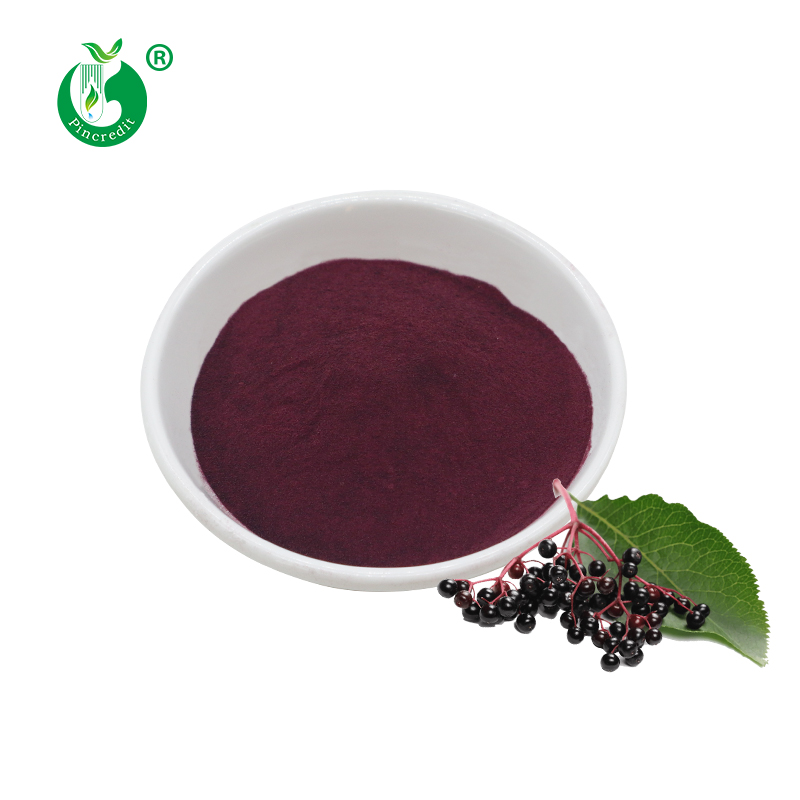 Elderberry Extract Powder