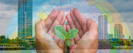 Environmental Engineering and Consultancy Services