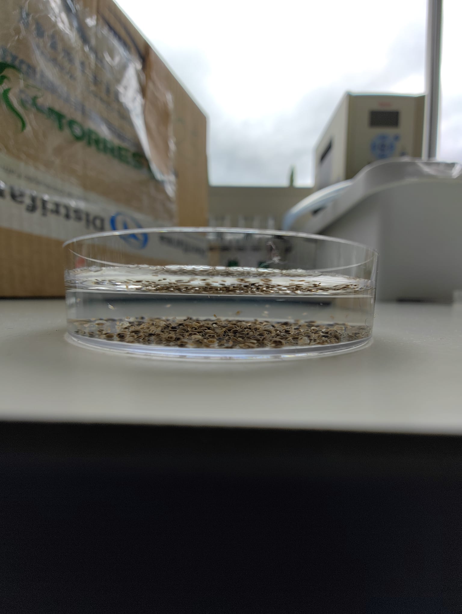 Environmental Risk Assessments (ERAs) in vitro testing
