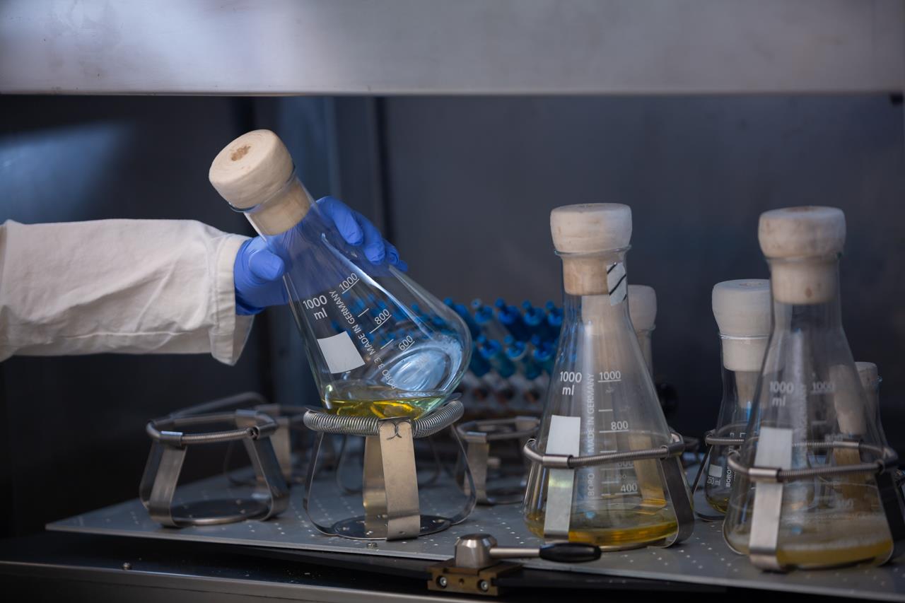 Enzyme Production