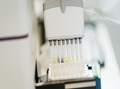 Enzyme Profiling