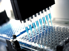 Enzyme screening & proof-of-concept studies
