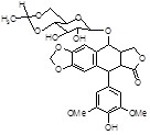 Etoposide