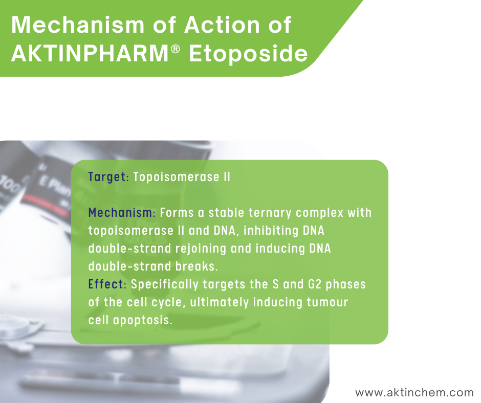 Etoposide 3