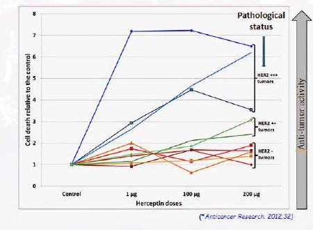 Ex Vivo Solid Tumor Model: The Oncogramme®, a new functional test in oncology 2