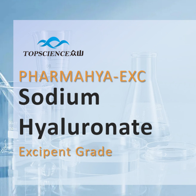 Excipient Grade Sodium Hyaluronate (Hyaluronic Acid)