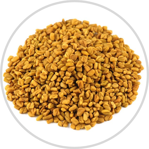 Fenugreek Seed Extract (Protodioscin)