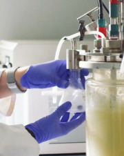 Fermentation development