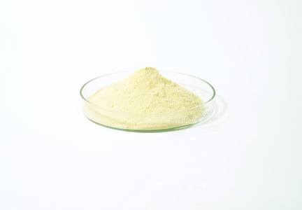 Ferric Pyrophosphate
