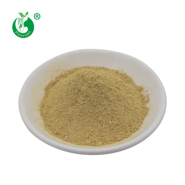 Fisetin Powder 2