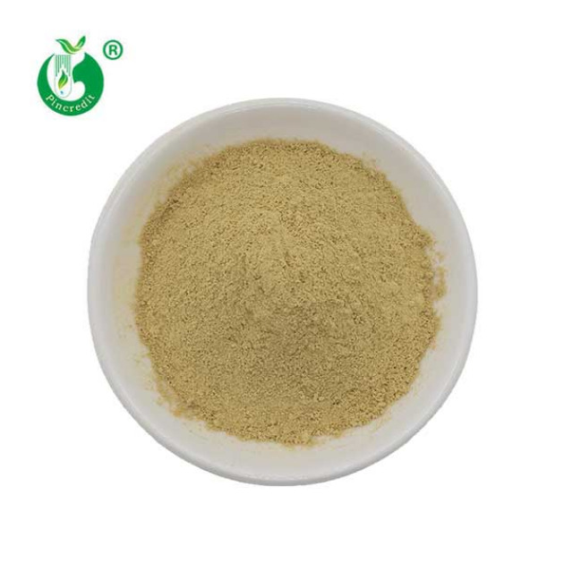 Fisetin Powder