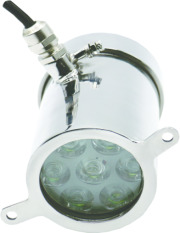 Flame Proof cum Weather Proof Lamps