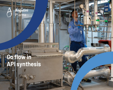 FlowChem Platform