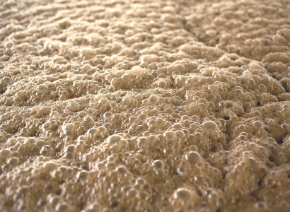 FOAM CONTROL SOLUTIONS FOR FERMENTATION PROCESSES