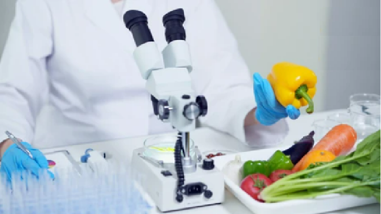 Food Nutrition Analysis