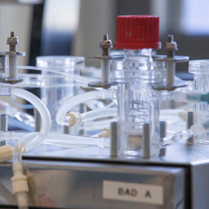 Formulation development