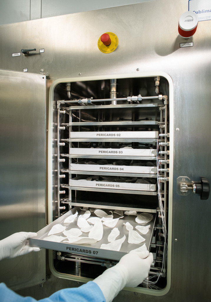 Freeze-drying 1
