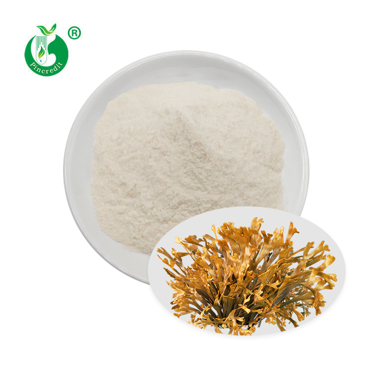 Fucoidan Powder